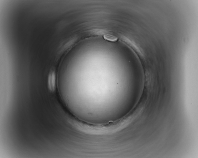 X0000099980014200805301402