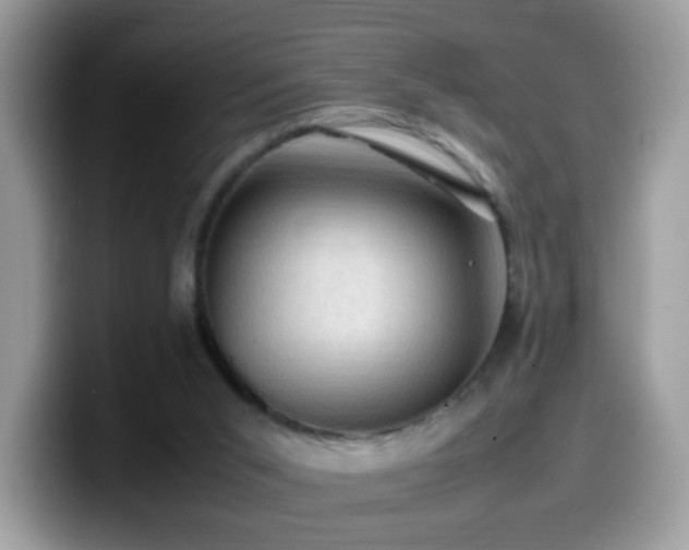 X0000099980015200805301402