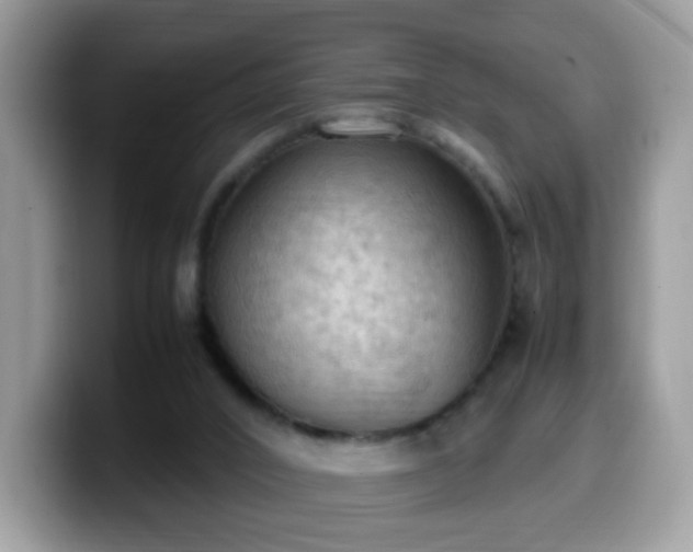 X0000099980016200805301402