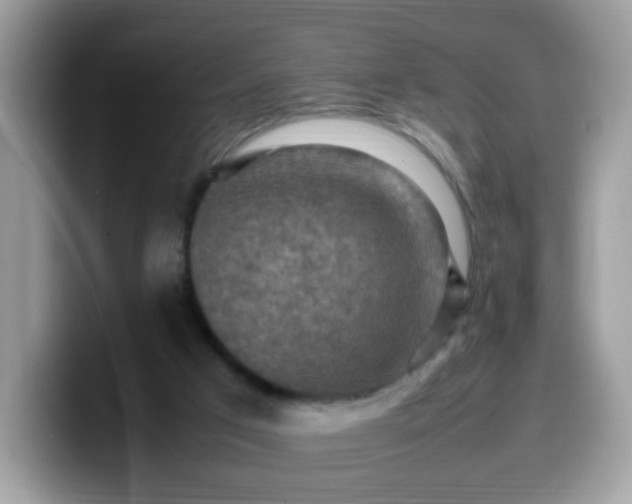 X0000099980017200805301402