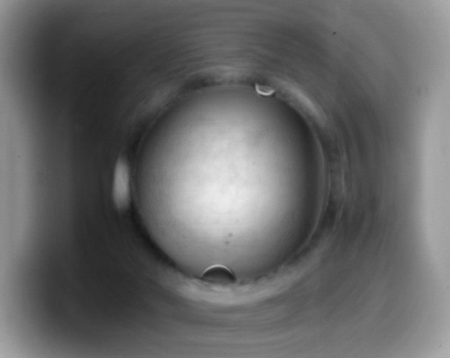 X0000099980022200805301402