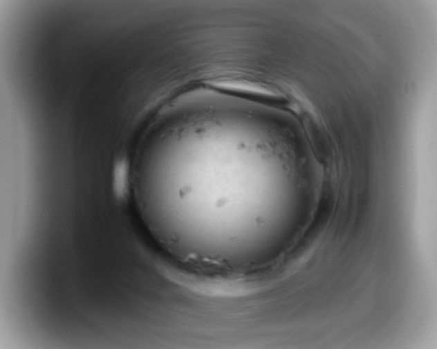 X0000099980024200805301402