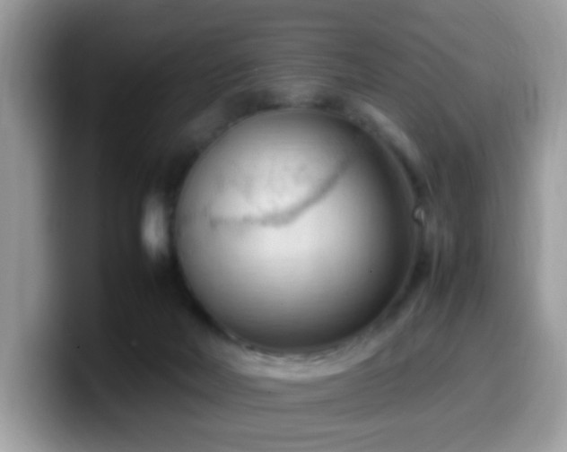 X0000099980026200805301402