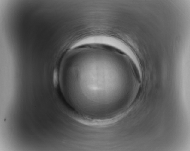 X0000099980027200805301402