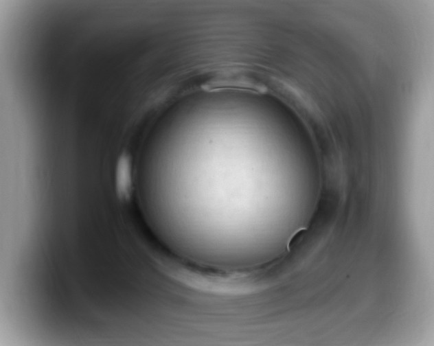 X0000099980028200805301402