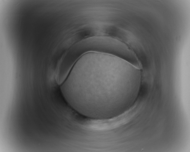 X0000099980029200805301402