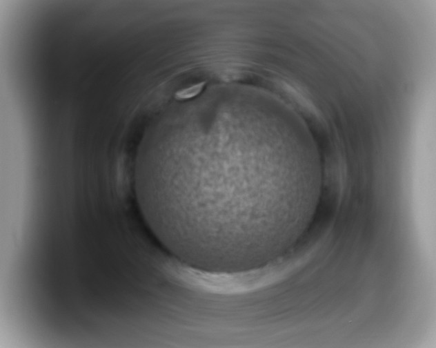 X0000099980030200805301402