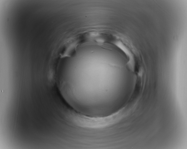 X0000099980031200805301402