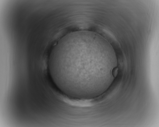 X0000099980032200805301402