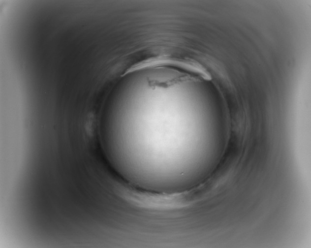 X0000099980036200805301402