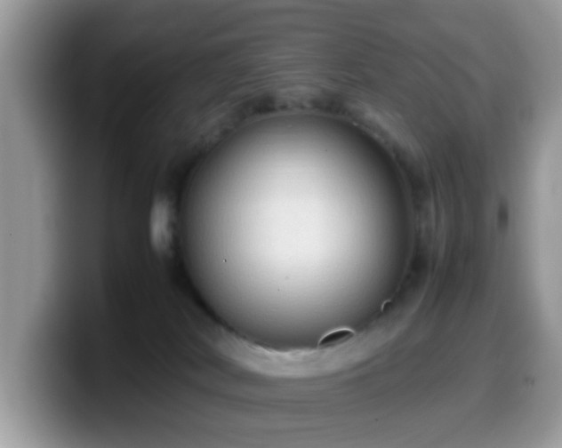 X0000099980038200805301402