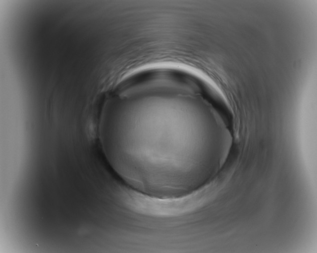 X0000099980039200805301402