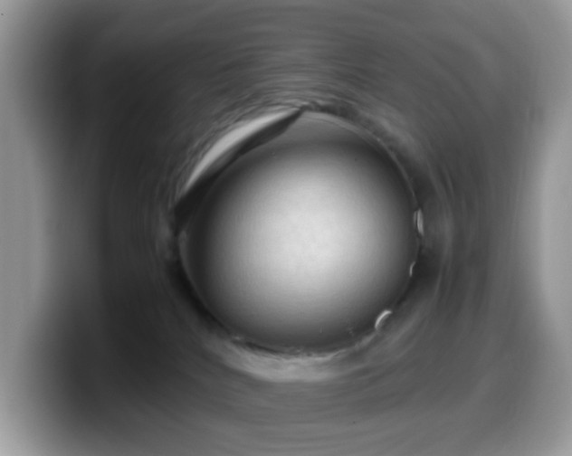 X0000099980040200805301402