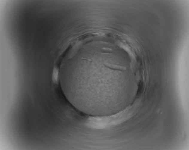 X0000099980041200805301402