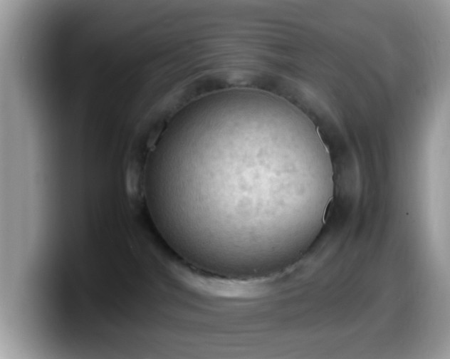 X0000099980044200805301402