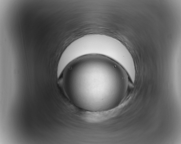 X0000099980045200805301402