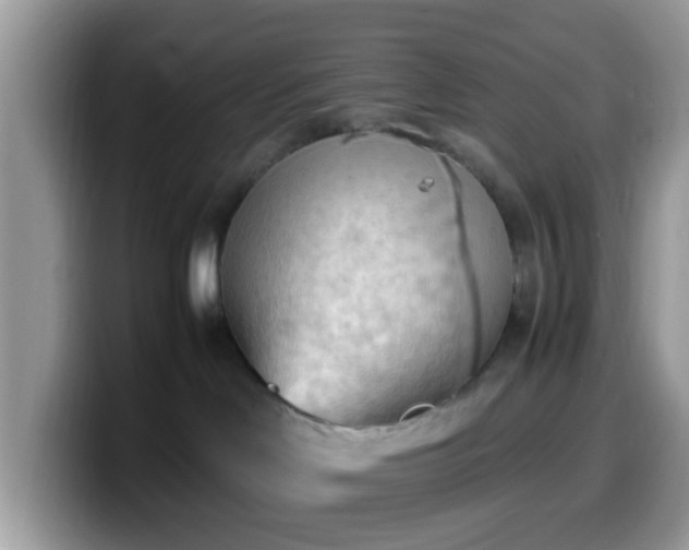 X0000099980046200805301402