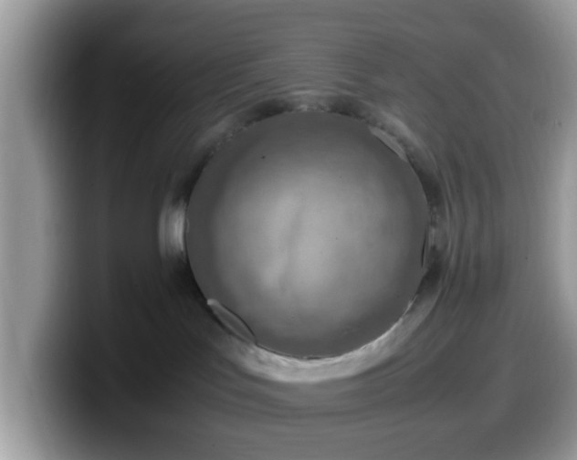 X0000099980047200805301402