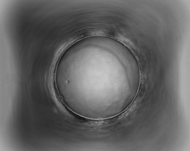 X0000099980049200805301401