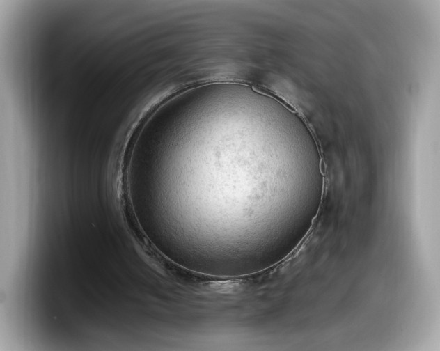 X0000099980050200805301401