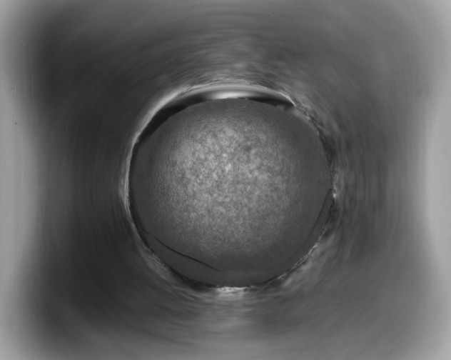 X0000099980052200805301401