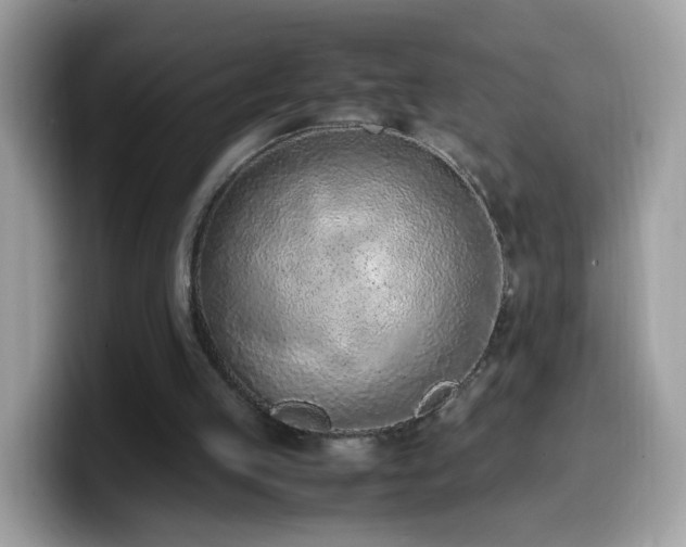 X0000099980053200805301401