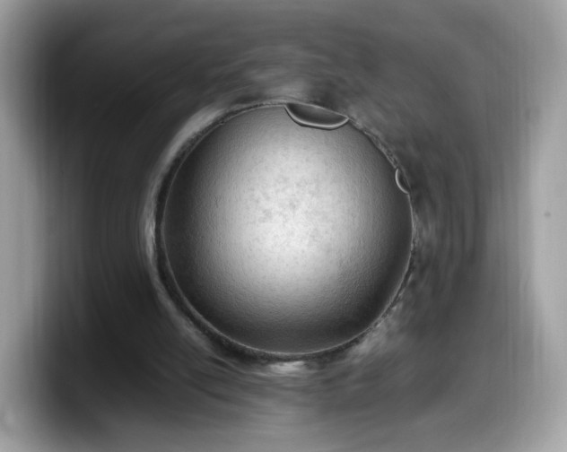 X0000099980054200805301401