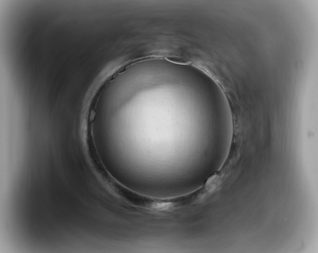 X0000099980055200805301401