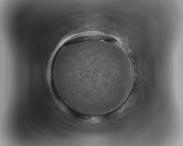 X0000099980056200805301401