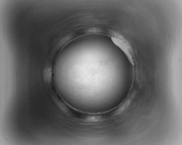 X0000099980057200805301401