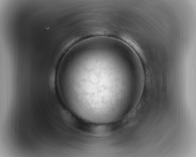 X0000099980058200805301401