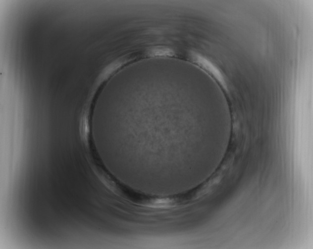 X0000099980059200805301401