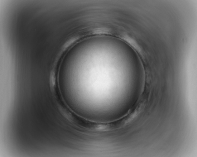 X0000099980060200805301401