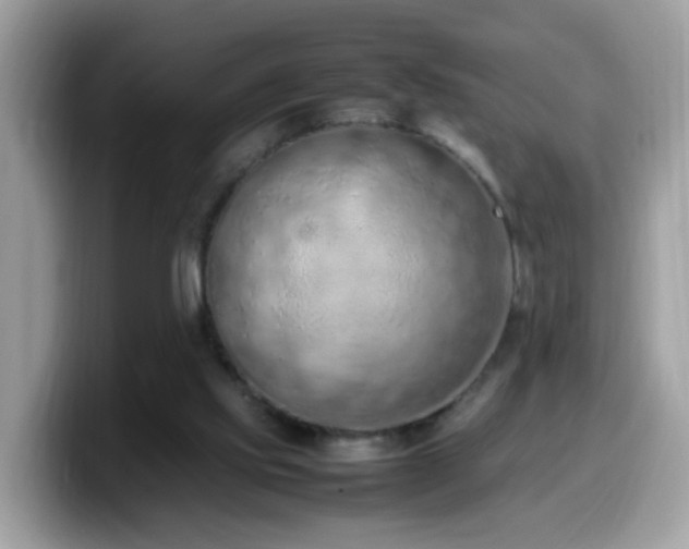 X0000099980061200805301401