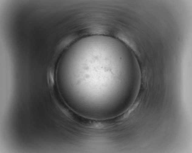 X0000099980062200805301401