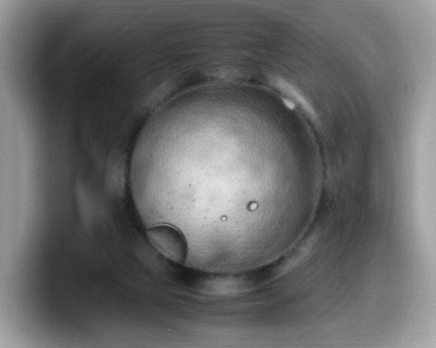 X0000099980065200805301401