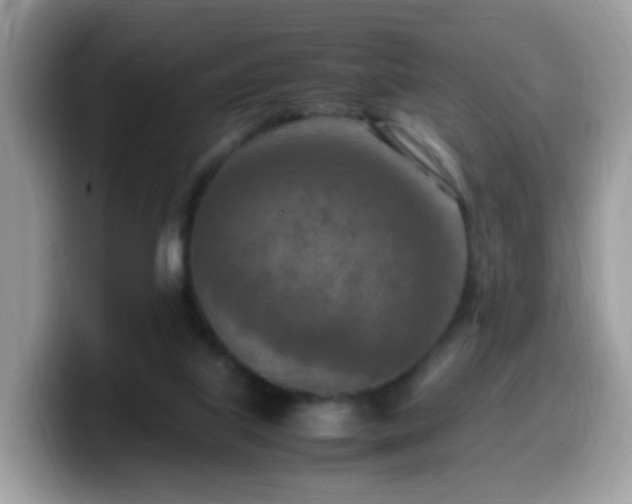 X0000099980067200805301401