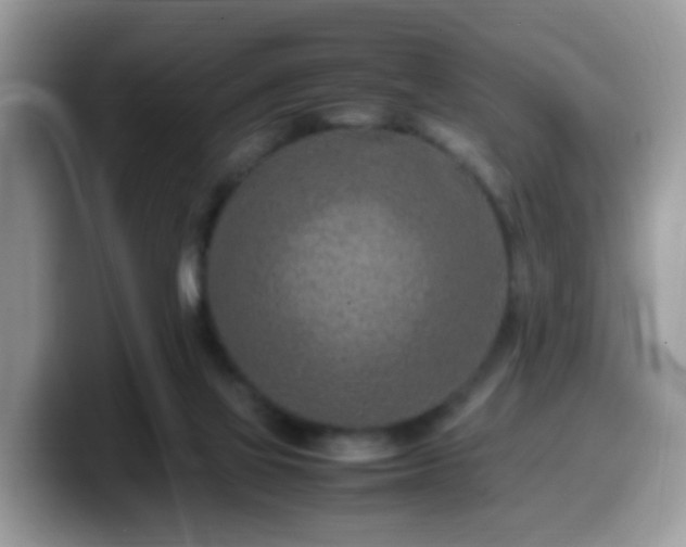 X0000099980069200805301401