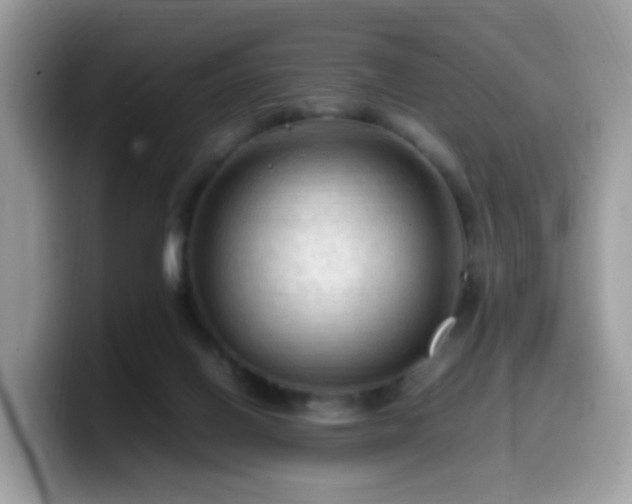 X0000099980070200805301401