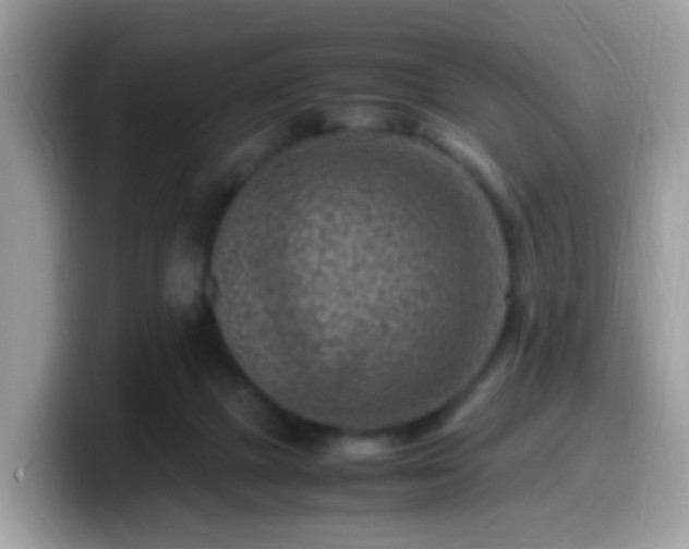 X0000099980073200805301401