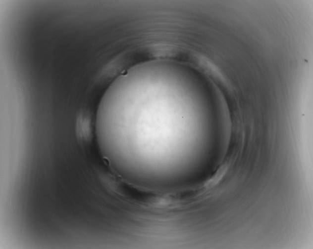 X0000099980074200805301402