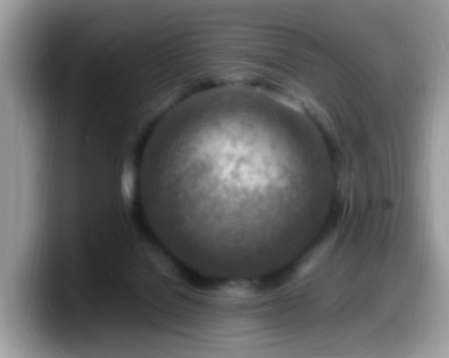 X0000099980076200805301402