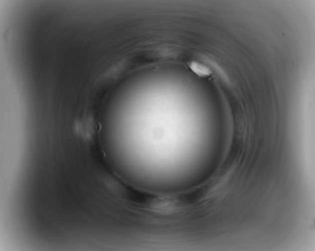 X0000099980077200805301402