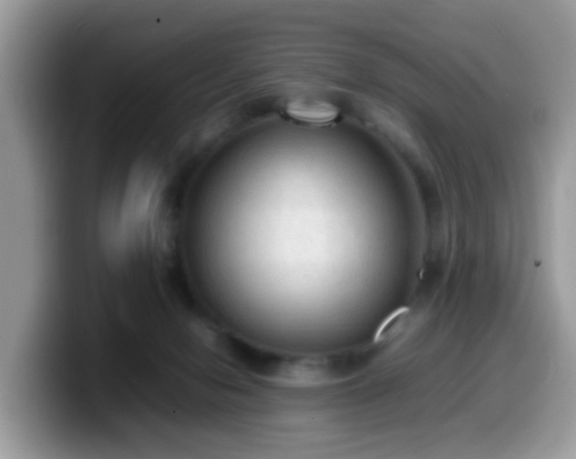 X0000099980078200805301402