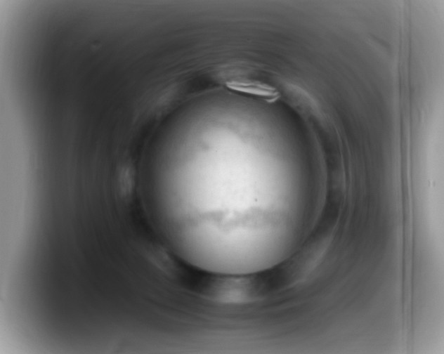 X0000099980081200805301402