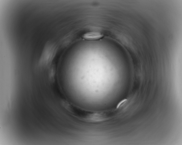 X0000099980082200805301402