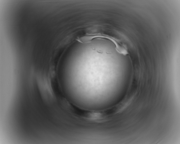 X0000099980085200805301402