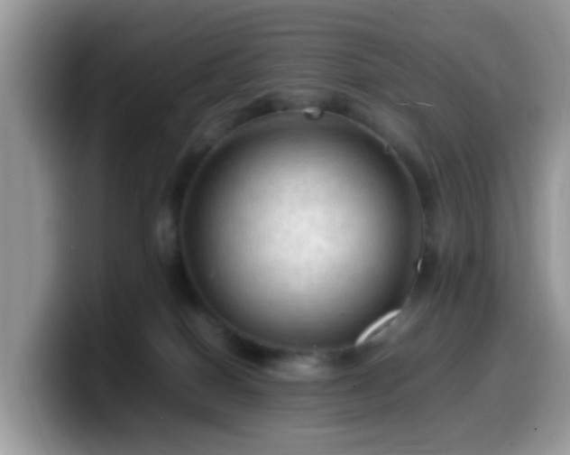 X0000099980086200805301402