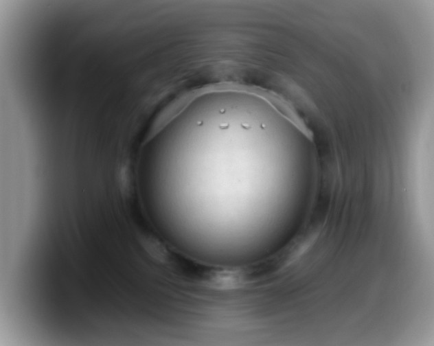 X0000099980088200805301402