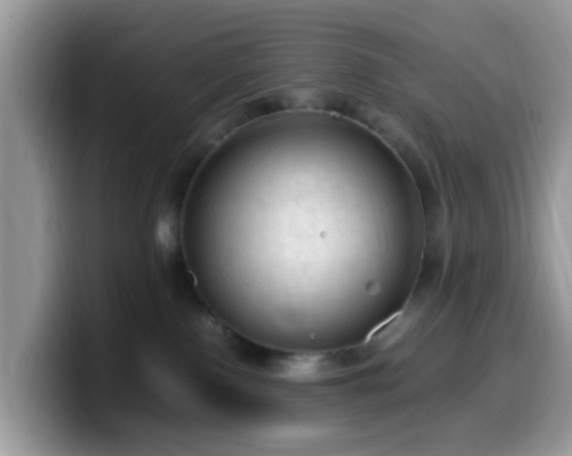 X0000099980090200805301402